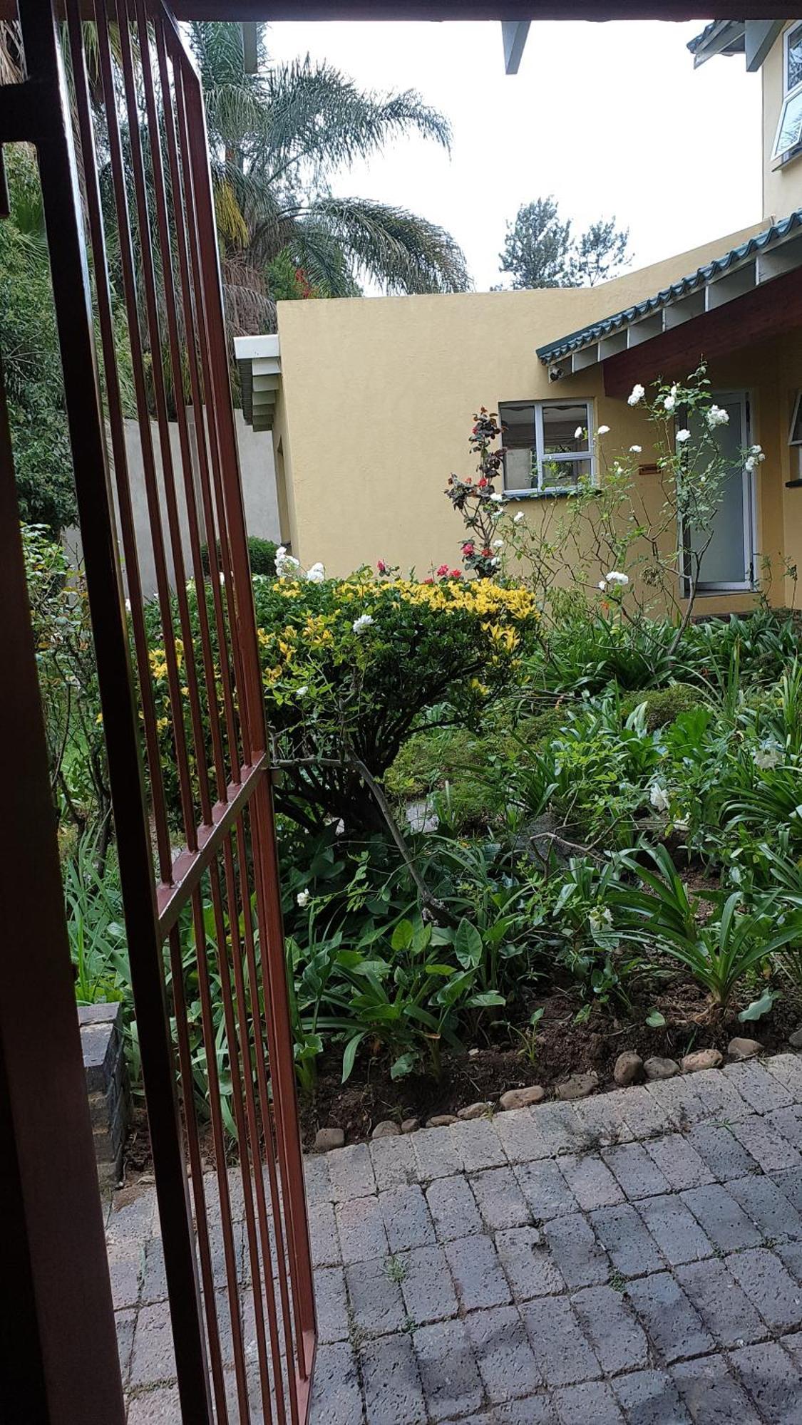 Matina Guest House جوهانسبورغ الغرفة الصورة